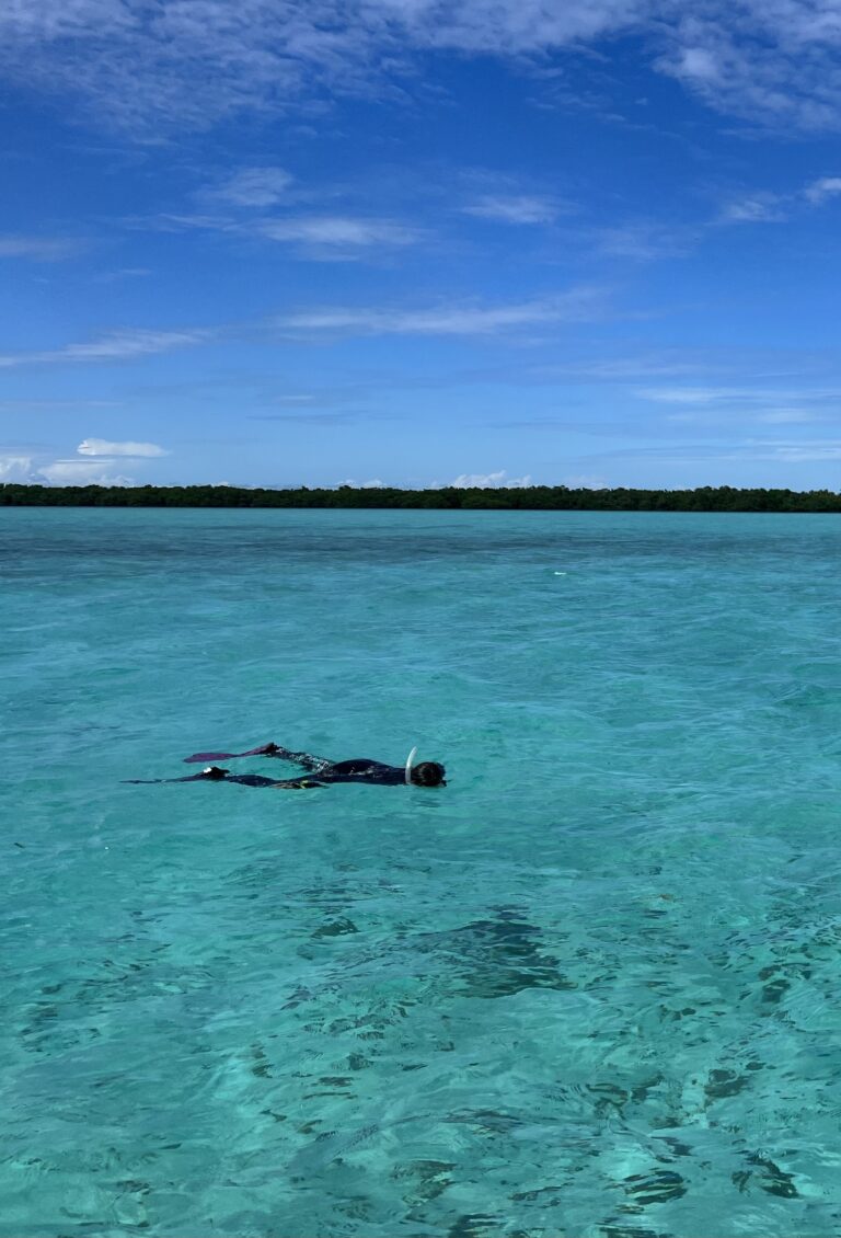 #15 Seagrass Snorkel Safari