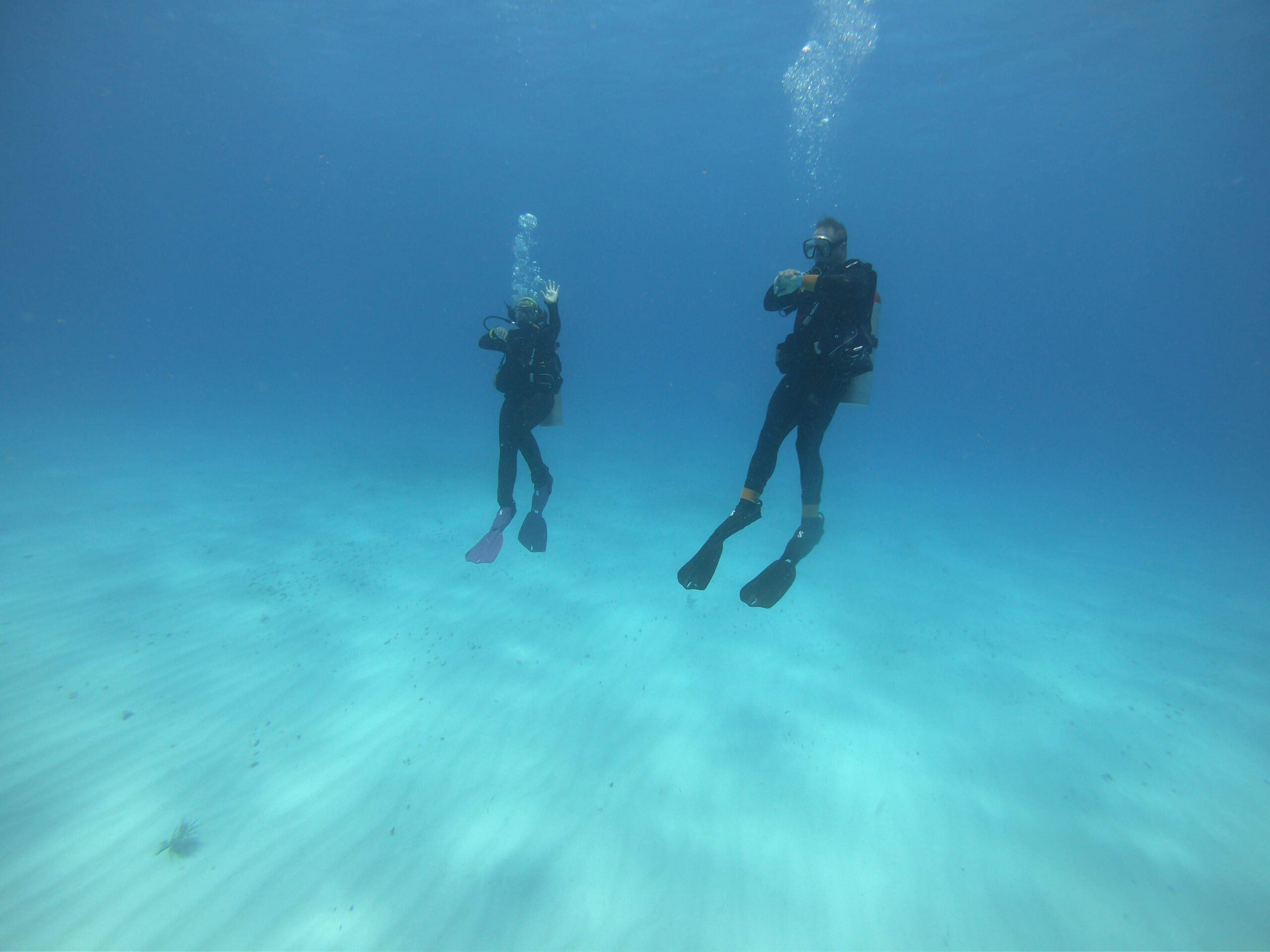 Two divers are underwater, wearing scuba gear and fins, with bubbles rising around them in clear blue water.