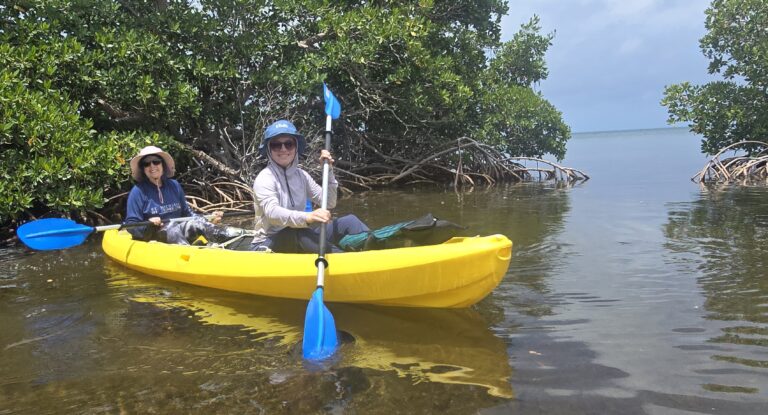 #1 Mangrove Explorer