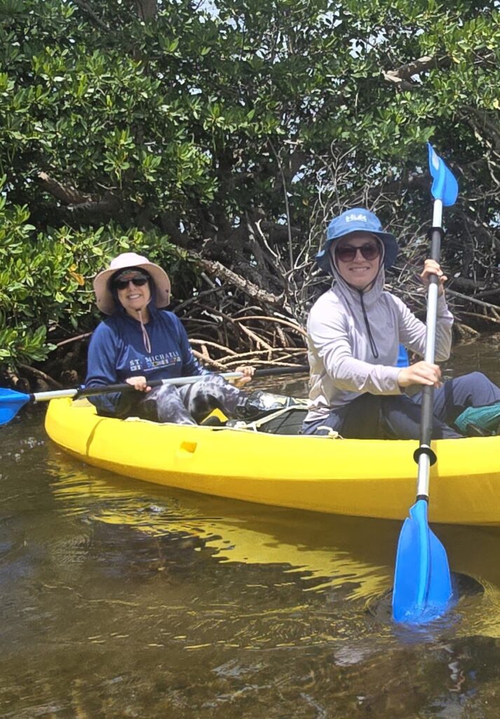 Two people are kayaking in a mangrove area, enjoying a sunny day on the water.