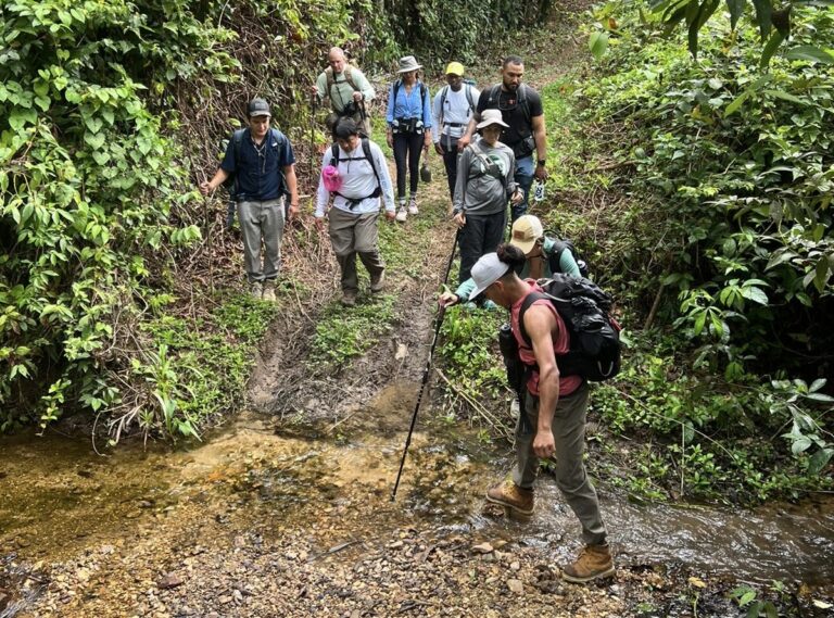 #20 Contemporary Culture