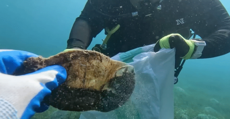 #33 Eco-Warrior Waste Challenge