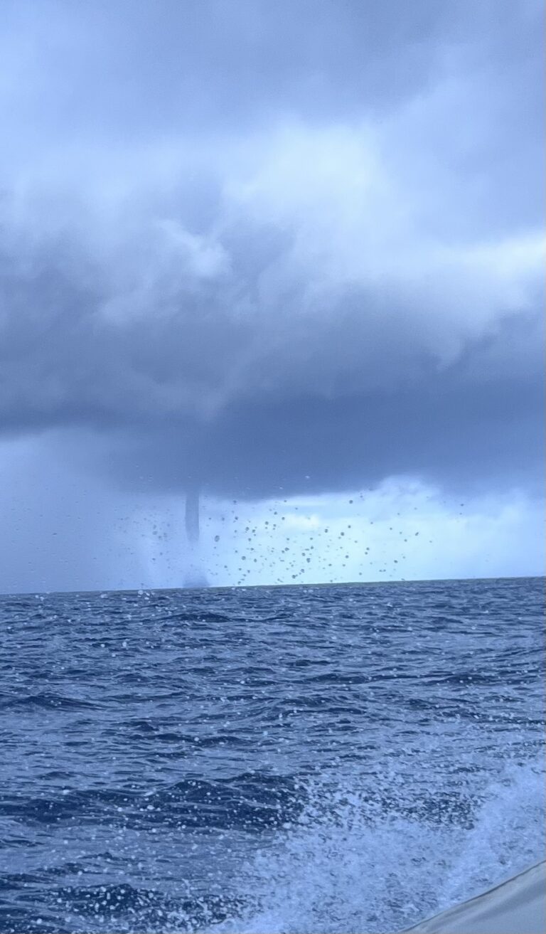 #35 Weather Watchers